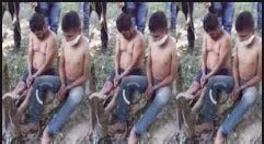 Viral videos captured the gruesome execution on social. . Mexico no mercy kill